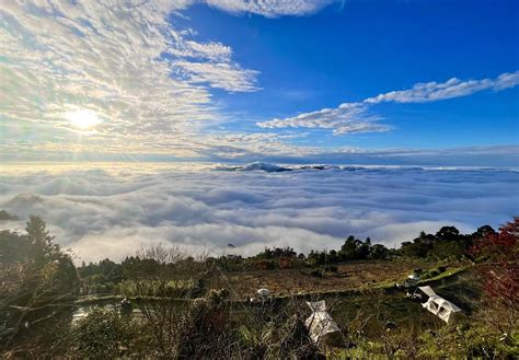 東北之星|東北之星